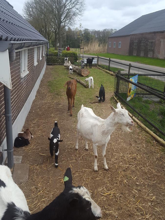 De Priesnitzhoeve Laag-Soeren Exterior foto